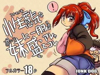 junk dog inuzuka koutarou konamaiki na poni te imouto ni buku motte are ya kore digital cover