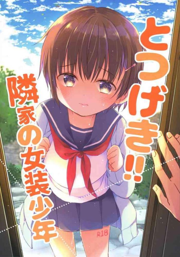 totsugeki rinka no josou shounen cover