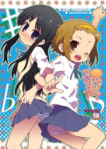 ookina tamanegi no shita de data package version cover