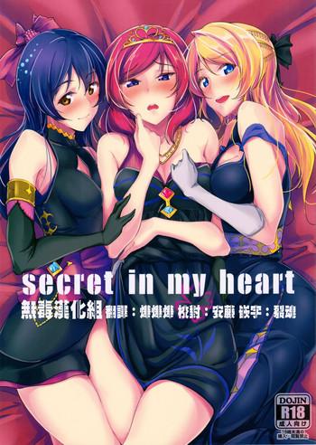 secret in my heart cover