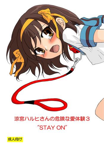 suzumiya haruhi san no kiken na ai taiken 3 cover