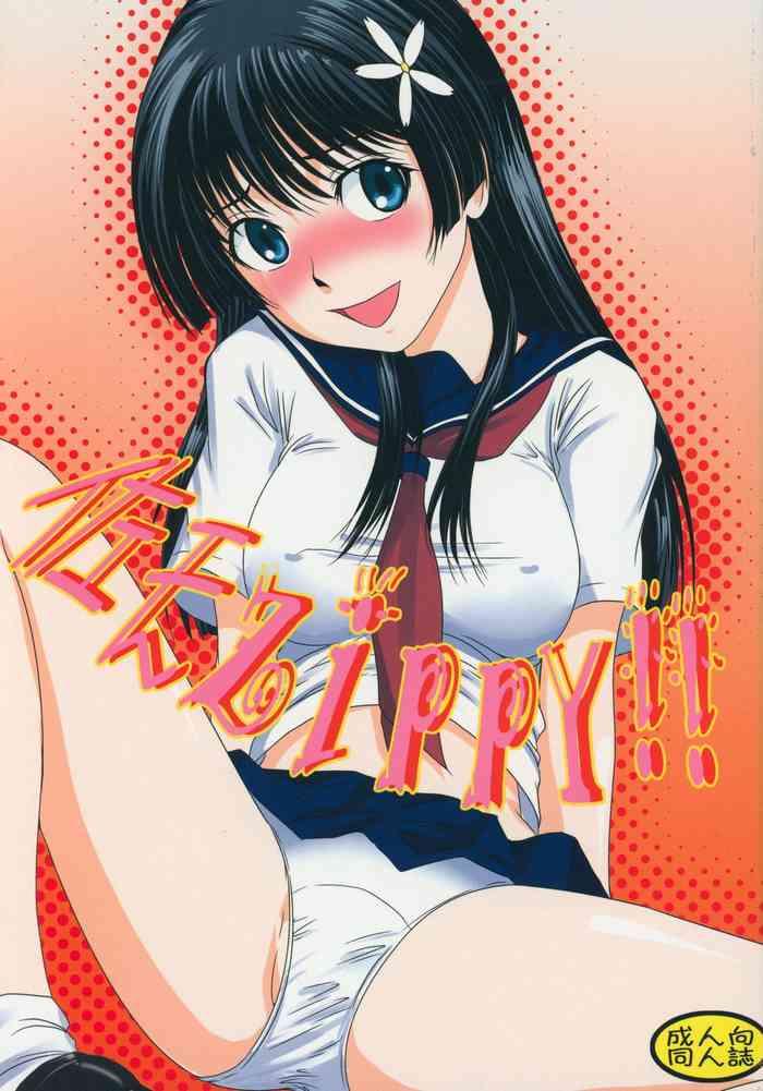 saten zippy cover